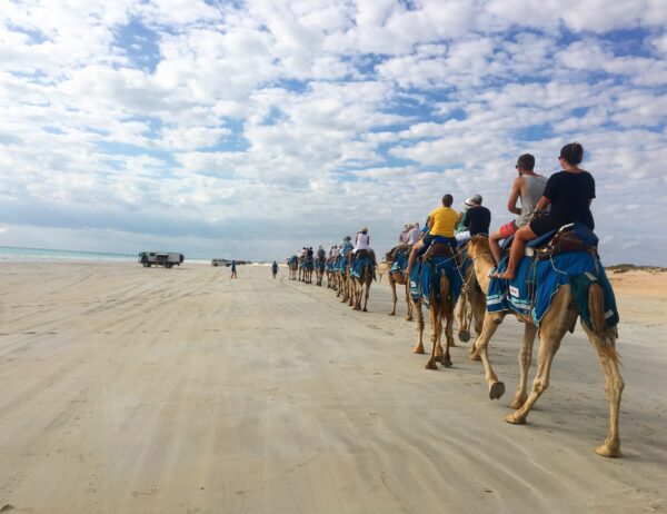 people-riding-camels-beach-against-cloudy-sky